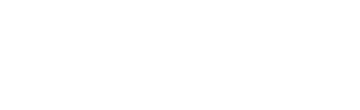 DynaWiser